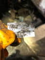 Oto Çıkma Parça / Opel / Vectra / Elektrik / Marş Motoru / Çıkma Parça 