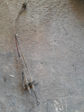 Oto Çıkma Parça / Hyundai / H100 / Vites / Vites Halatı / Çıkma Parça 