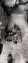 MAZDA 626 1990-1991 2.0 MOTOR ŞANZUMAN