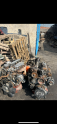 Oto Çıkma Parça / Iveco - Otoyol / 65 / Motor / Motor (komple) / Çıkma Parça 