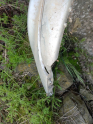 Oto Çıkma Parça / Peugeot / 206 / Tampon / Ön Tampon / Çıkma Parça 
