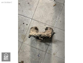 Oto Çıkma Parça / Fiat / Tipo / Motor / Emme Manifoldu / Çıkma Parça 
