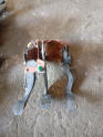 Oto Çıkma Parça / Peugeot / 207 / Koltuk & Döşeme / Pedal / Çıkma Parça 