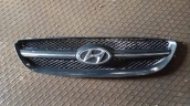 2002-2009 Hyundai Getz ön panjur