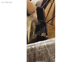 Oto Çıkma Parça / Mercedes / 300 / Tampon / Çeki Demir Kapağı / Çıkma Parça 