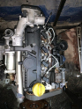 Oto Çıkma Parça / Renault / Megane / Motor / Motor (komple) / Çıkma Parça 