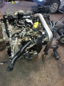 Oto Çıkma Parça / Renault / Megane / Motor / Motor (komple) / Çıkma Parça 