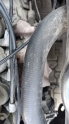 Oto Çıkma Parça / Hyundai / Accent / Egzoz / Egzoz Manifoldu / Çıkma Parça 