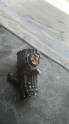 Audi A4 ve Passat B5/B5.5 Manuel Şanzıman Komple - 012301103