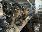 Oto Çıkma Parça / Volkswagen / Transporter / Motor / Motor (komple) / Çıkma Parça 