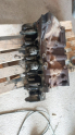 Oto Çıkma Parça / Renault / Kangoo / Motor / Blok / Çıkma Parça 