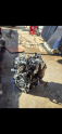 Oto Çıkma Parça / Toyota / Auris / Motor / Motor (komple) / Çıkma Parça 