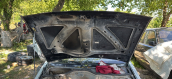 Oto Çıkma Parça / Renault / R 19 / Kaporta & Karoser / Kaput / Çıkma Parça 