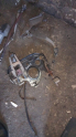 Daewoo espero pedal takimi