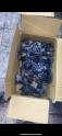 Oto Çıkma Parça / Nissan / Primera / Motor / Distribütör / Çıkma Parça 