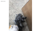 Oto Çıkma Parça / Ford / Fiesta / Yakıt / Yakıt Pompası / Çıkma Parça 