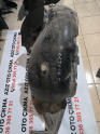Oto Çıkma Parça / Skoda / Octavia / Kaporta & Karoser / Davlumbaz / Çıkma Parça 