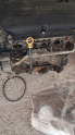 Oto Çıkma Parça / Chevrolet / Kalos / Motor / Motor (komple) / Çıkma Parça 