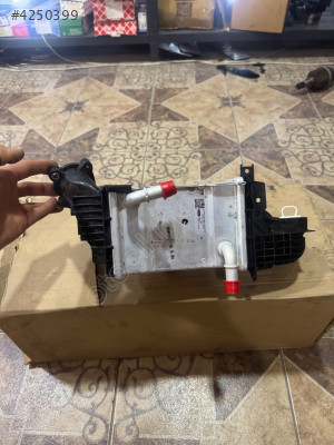 Ford focus intercolor