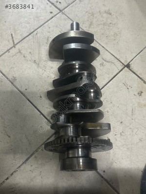Masart ghipli kıank