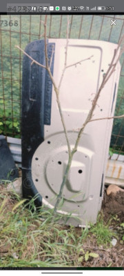 Land Rover Freelander  bagaj kapağı