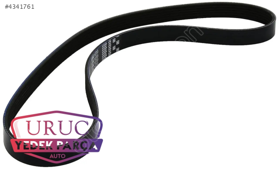 04L260849C ORJİNAL  OLUKLU V KAYIŞI (PK 1026)