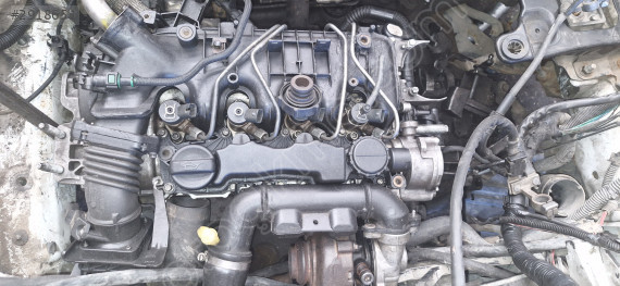 Ford Focus 1.6 Dizel Motor