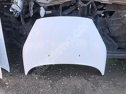 2015 ford fiesta kaput