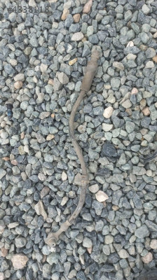 OPEL VECTRA C SAĞ FREN HORTUMU.OTO ERKAN ÜNYE