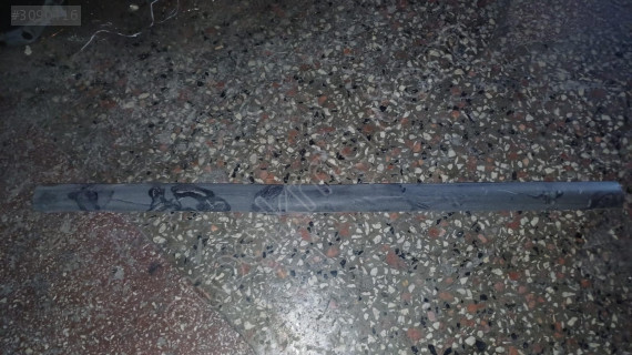 1998-2004 Ford Focus 1 HB arka tampon orta çıtası