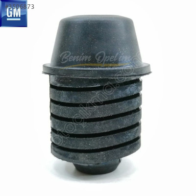 Captiva C100 Motor Kaput Ayar Lastiği 96251069