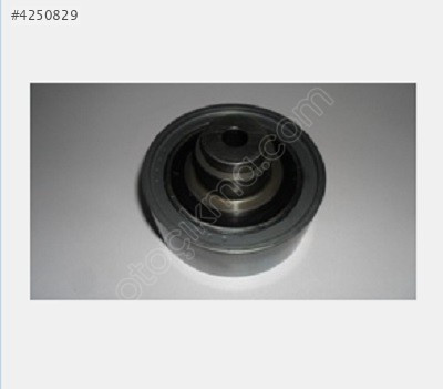 TRİGER YARDIMCI RULMANI CADDY 96-04 038109244H