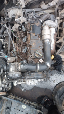 Ford focus 1.6 motor komple