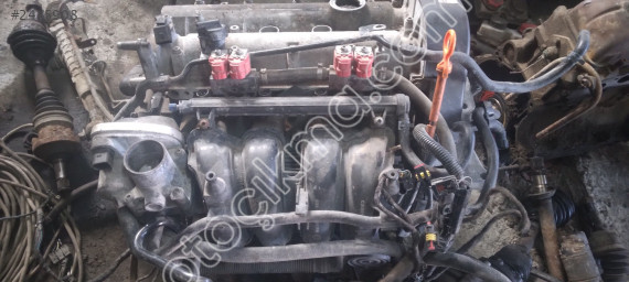VOLKSWAGEN POLO 1.4 MOTOR