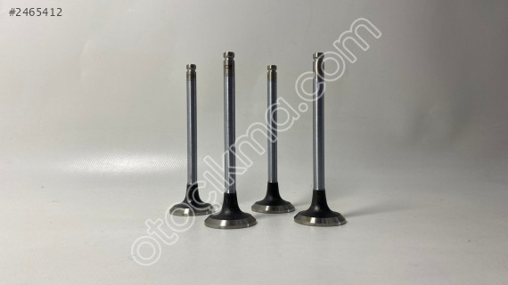 7701467249  EGZOS SUBAP TAKIMI S8U MASTER 2.5 (4 LÜ) E.M.