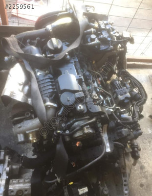Ford focus 1.6 benzinli motor