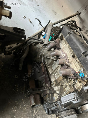 Ford focus 1.6 benzinli motor
