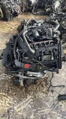 Ford custom 2.2 dizel motor euro5