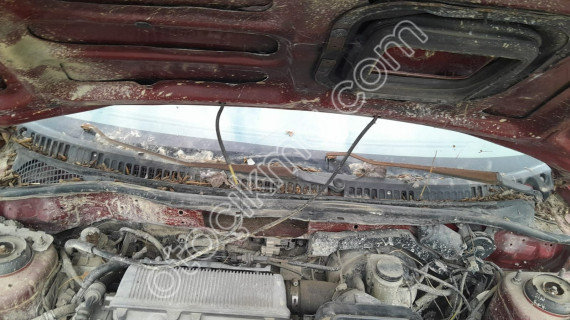 Mazda 323 family camonu izgarasi çıkma
