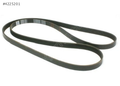 ŞARZ KAYIŞI (6PK 2225) T4 96-04 074260849AC