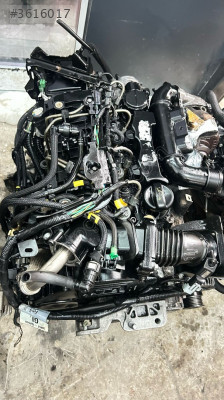 Ford Focus 1.6 dizel DV6 motor