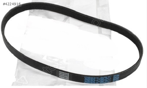 ŞARZ KAYIŞI GOLF4 98-04/BORA 98-04 038903137G