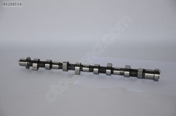 13020-AD202  SKYSTAR 02-06 EKSANTRİK MİLİ IN
