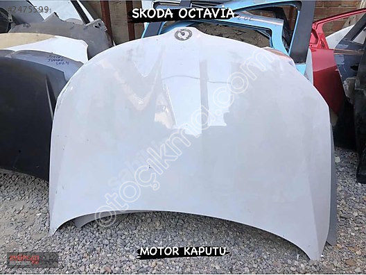 Orjinal Skoda Rapid Motor Kaputu - Eyupcan Oto'da Bulunur