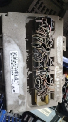 Chrysler Fırat boyunger body beyni