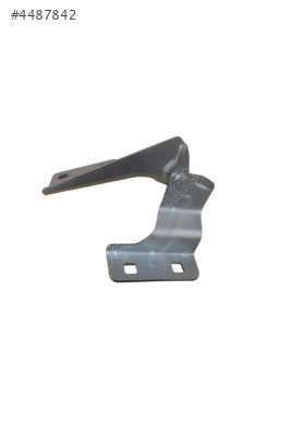 Renault Megane 2 Kaput Menteşesi Sağ 20032009