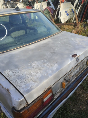 Ford tanus bagaj kapagı