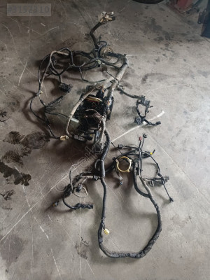 Nissan Qashqai motor iç tesisat 24168JD00A