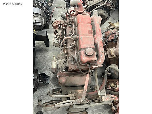 Dodge AS 250 FINDIK MOTOR