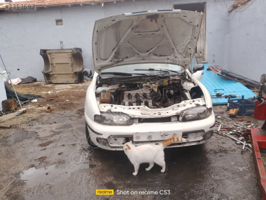 1.6 BRAVO MANUEL ŞANZIMAN